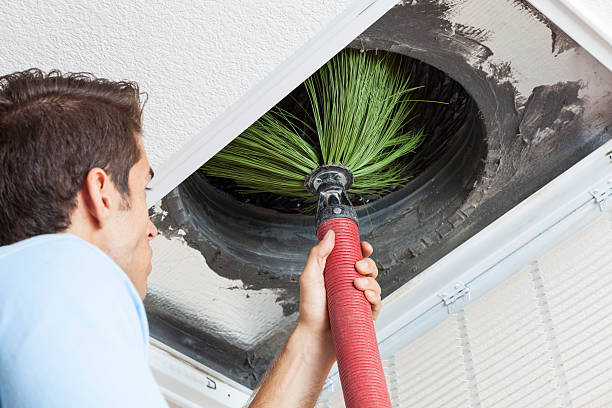 Best Mold and Mildew Removal from Ducts in , MD